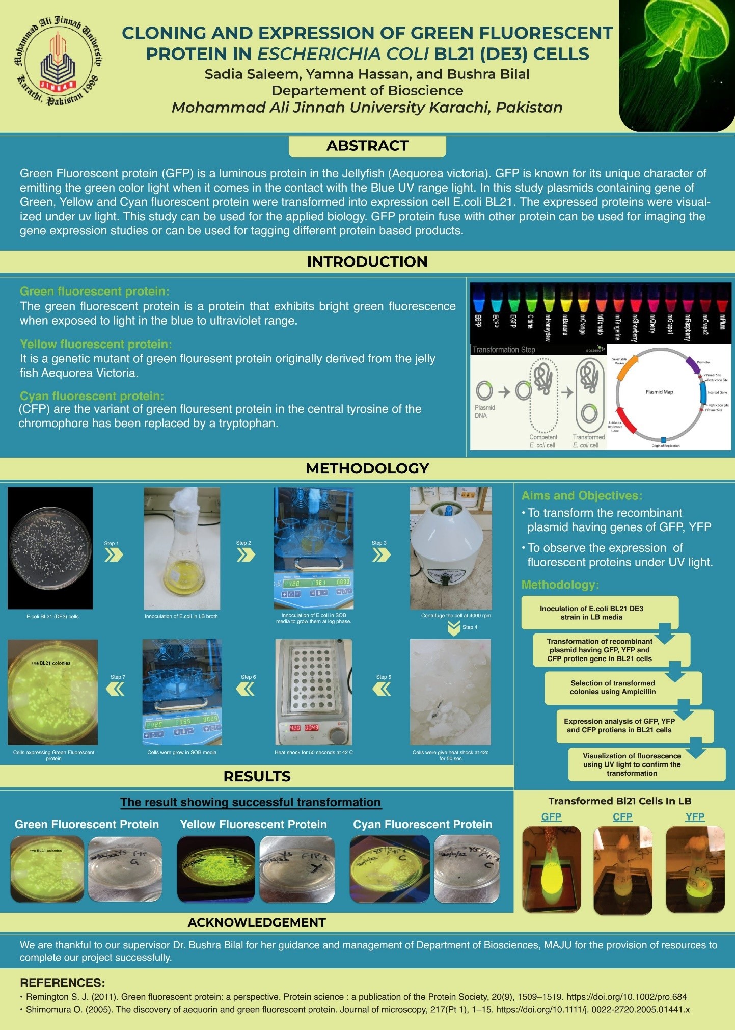 Cloning And Expression Of Green Fluorescent Protein In Escherichia Coli BL21 (DE3) Cells